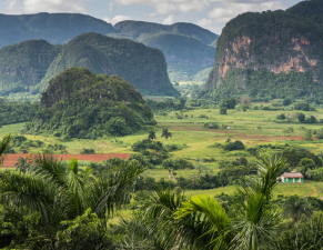 Viñales